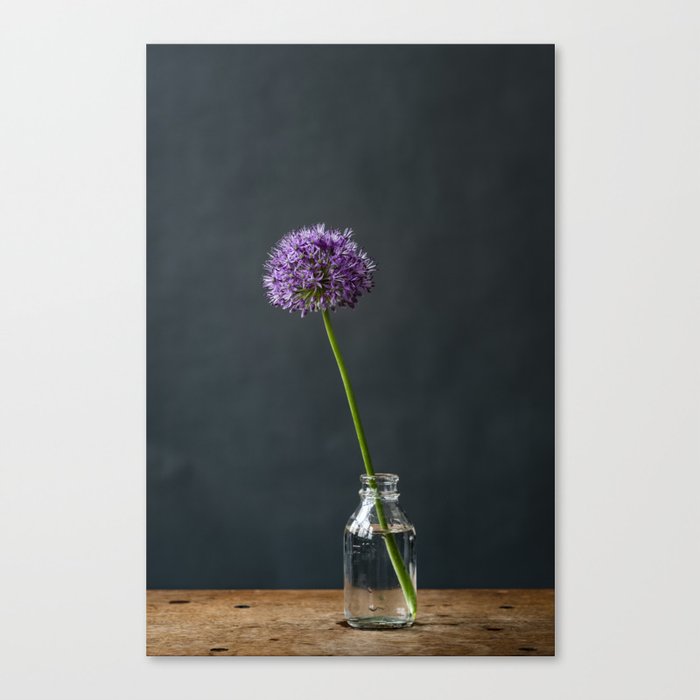 Photo | art | botanical | still life | modern | floral Canvas Print