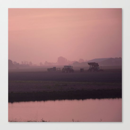 Morning activity #1 Canvas Print