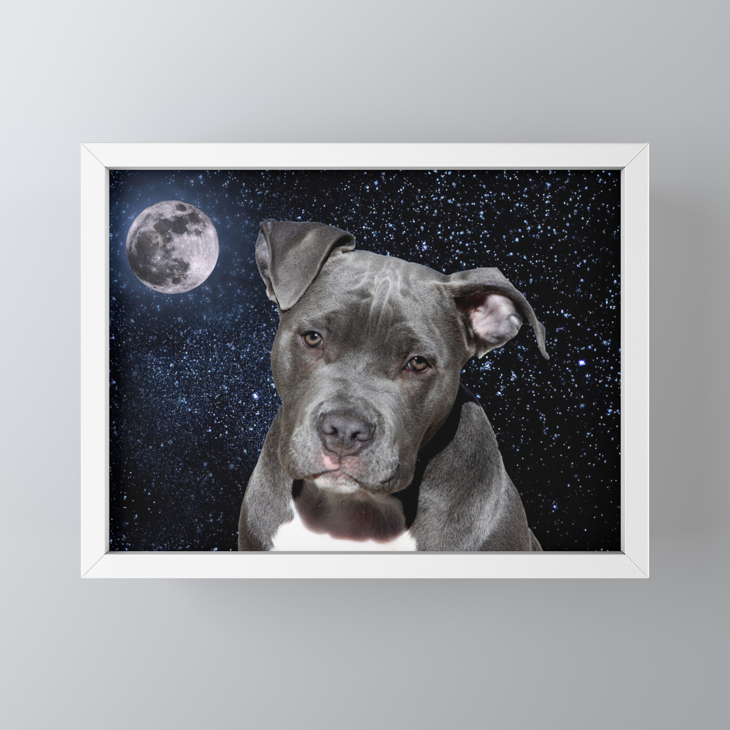 society6