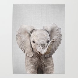 Baby Elephant - Colorful Poster