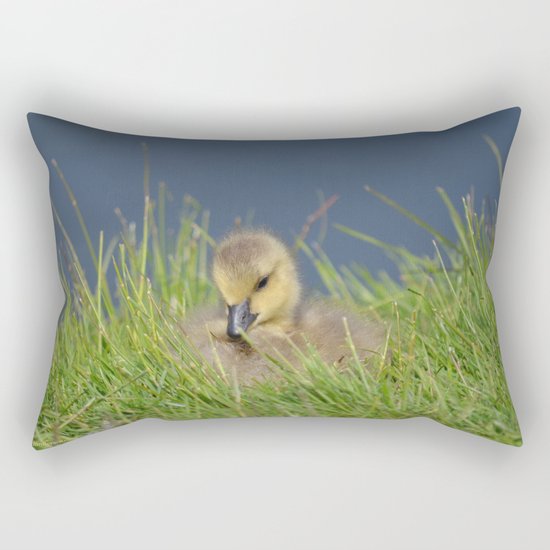 Fluffy Rectangular Pillow