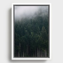 Mystic Pines - A Forest in the Fog Framed Canvas