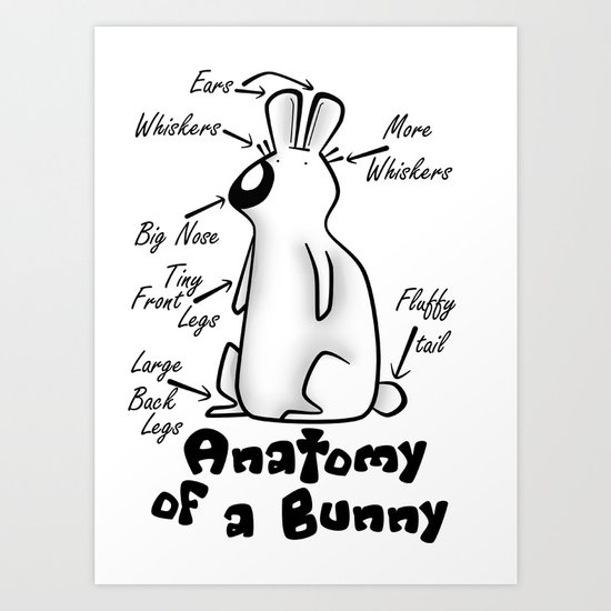 Anatomy of a Bunny Art Print