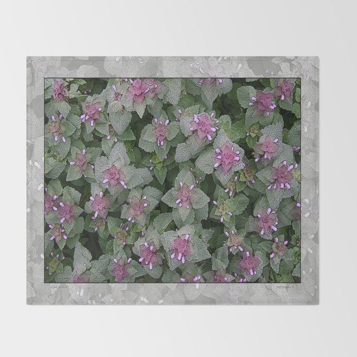 Wild Salvia Mauve And Gray Green Throw Blanket By Wild Salvia Mauve And Gray Green Throw Blanket By Alpineseasidelandscapes Society6