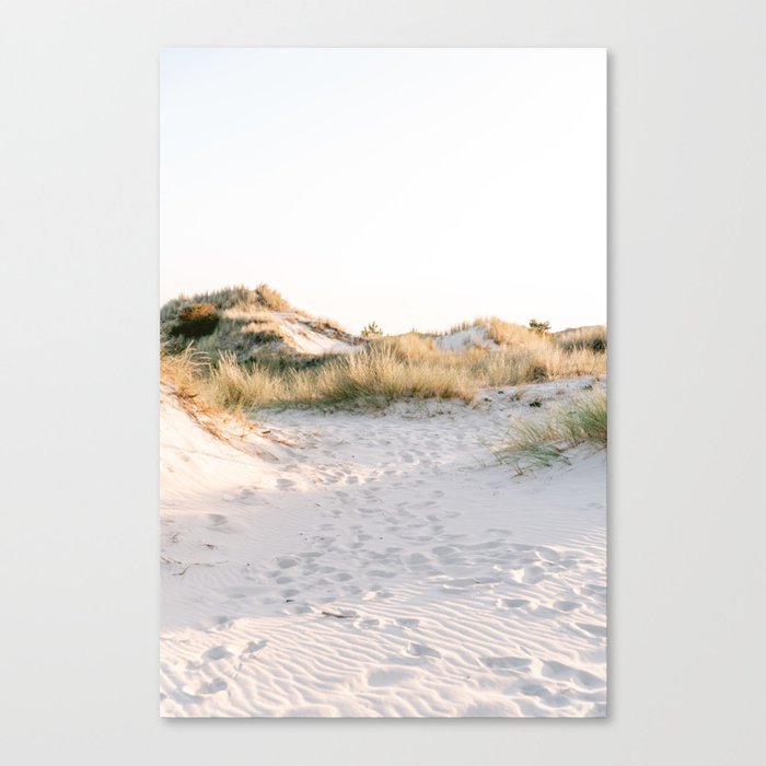 Golden Dunes | Calm Sand Dunes Netherlands Print Canvas Print