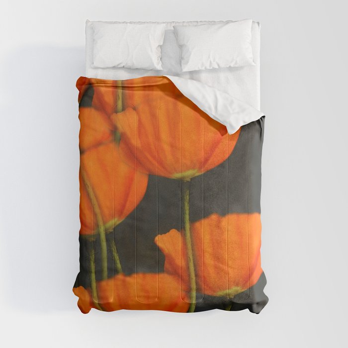 Poppies orange Comforter