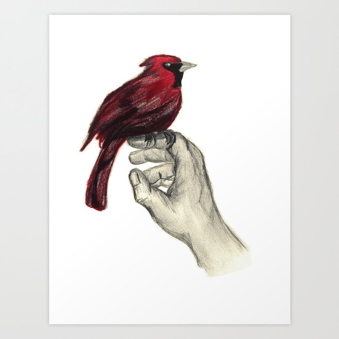 Cardinal Focus Art Print