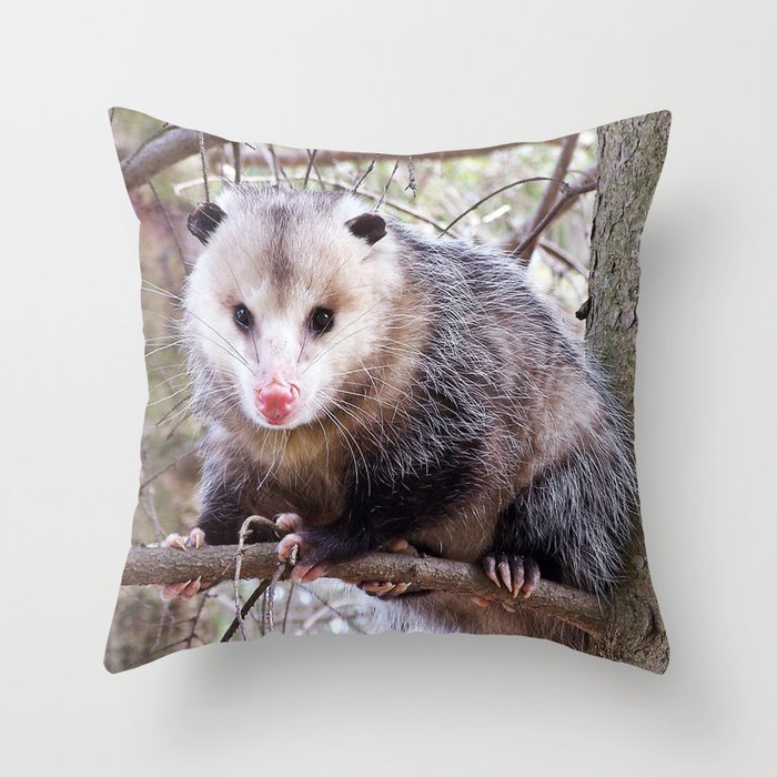Possum Staredown Throw Pillow