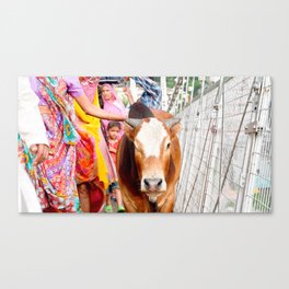 Holy cow, India Canvas Print
