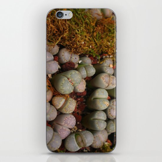 Cactus Stones iPhone & iPod Skin