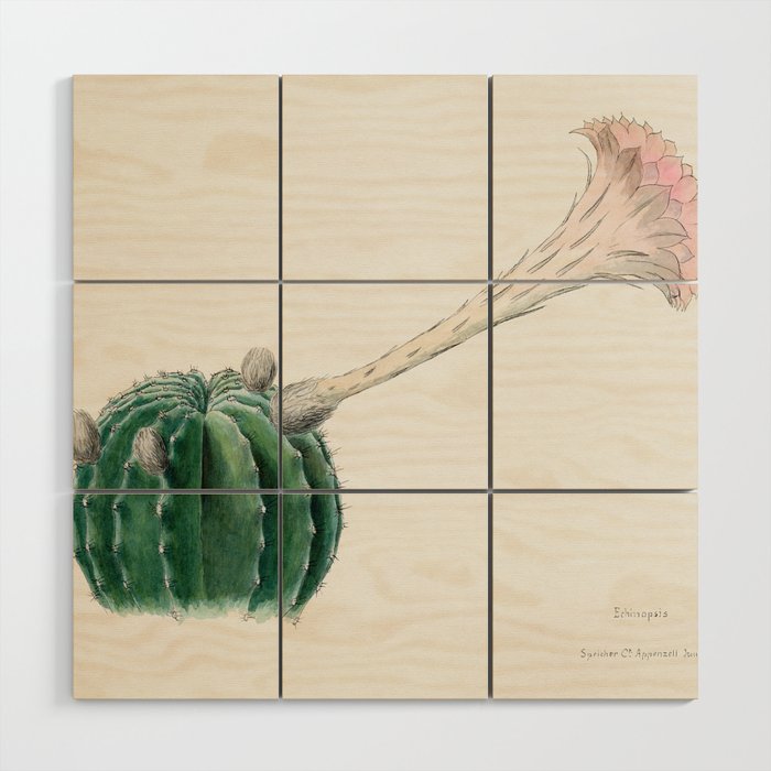Easter Lily Cactus Wood Wall Art
