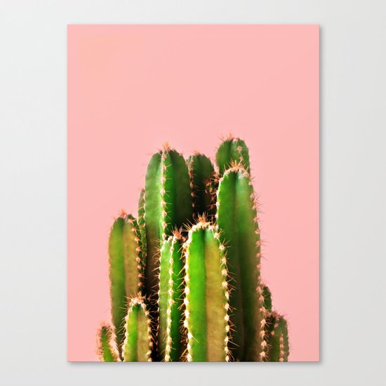 It's Cactus Time Canvas Print