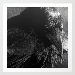 White Pencil Raven Drawing Art Print