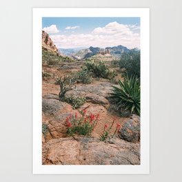 Desert Garden Sky Island Art Print