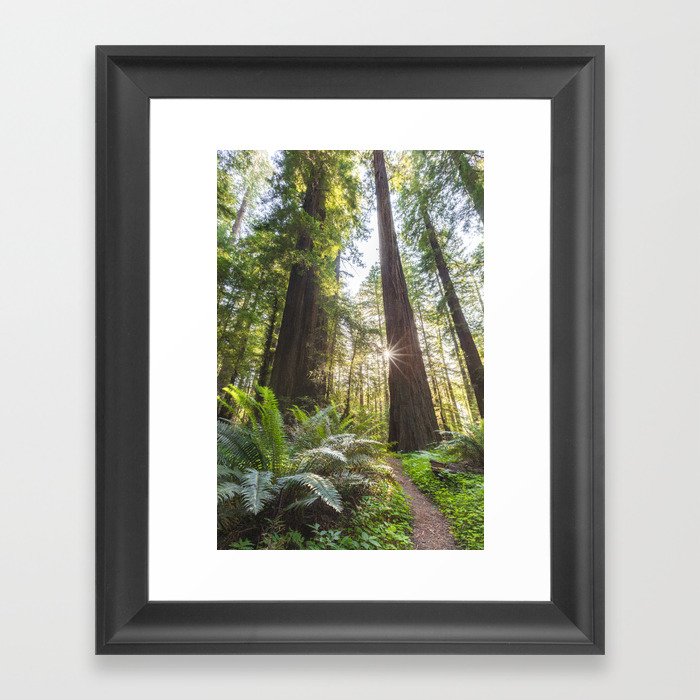 Framed Art Print
