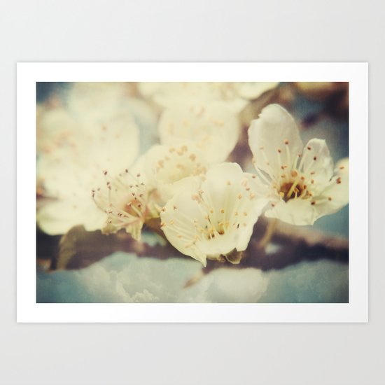 Golden Light Cherryblossom Art Print