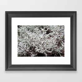 White tree Framed Art Print