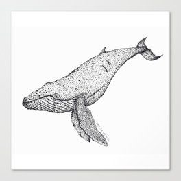 Humpback Whale Illustration Canvas Print