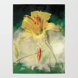 Yellow, Dew-Kissed Daylily Poster
