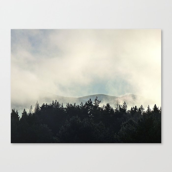 Scottish Highland Winter's Misty Pine Tree Scene Canvas Print