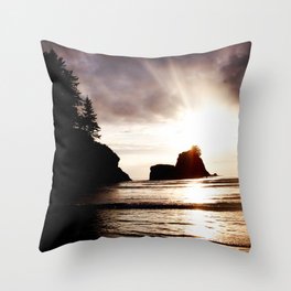 Wild Coast Throw Pillow