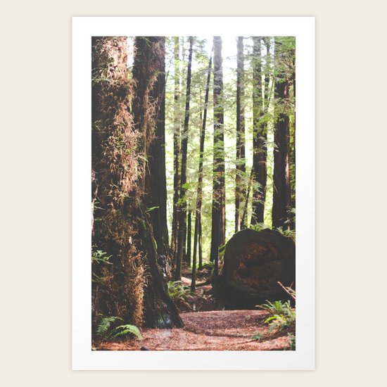 Deadwood Art Print