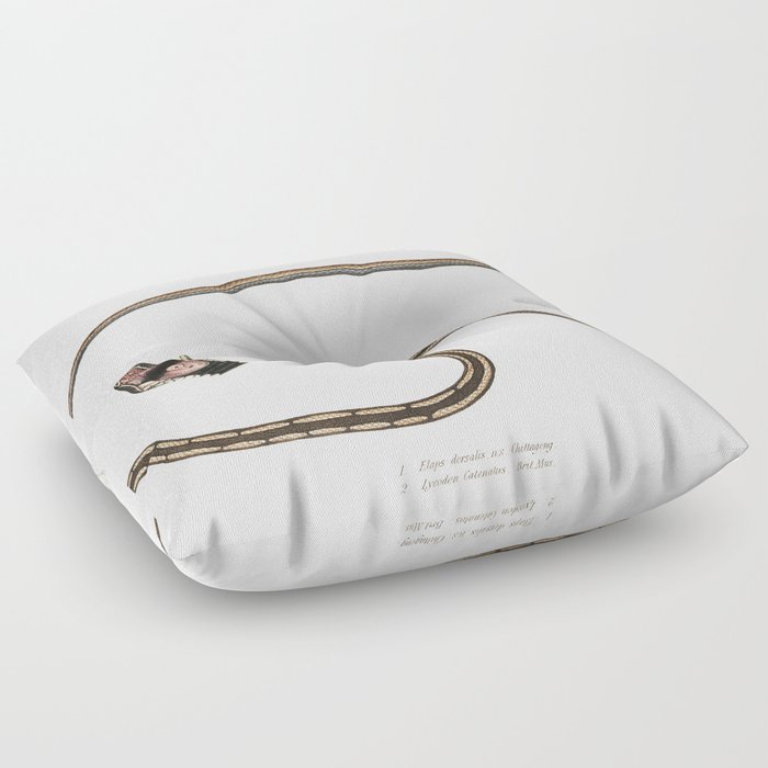 Lined backed Elaps & Chain Spotted Lycodon Floor Pillow