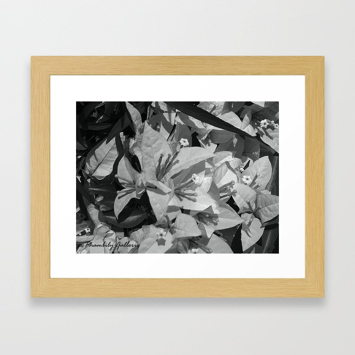 Bouganvillas grayscale NBD Jamaica Spring 2020 Framed Art Print