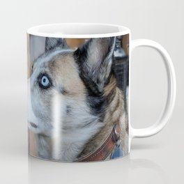 Dog by Kevin Merkel Coffee Mug | Retriever, Golden, Animal, Friend, Doggo, Goodboy, Publicdomain, Photo, Beautiful, Pet 