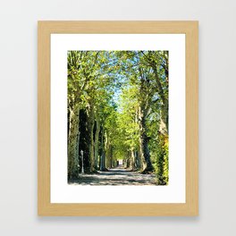 Trees of Provence Framed Art Print