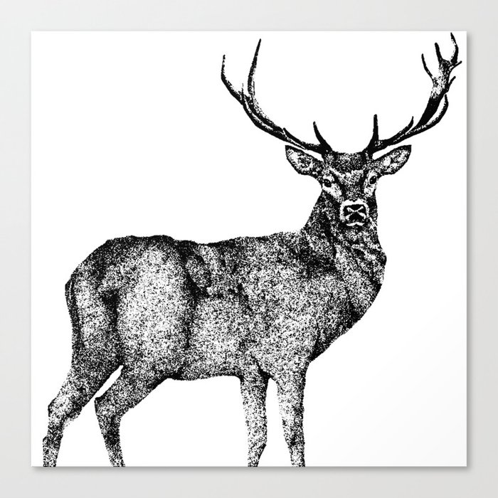 A Lone Stag Canvas Print