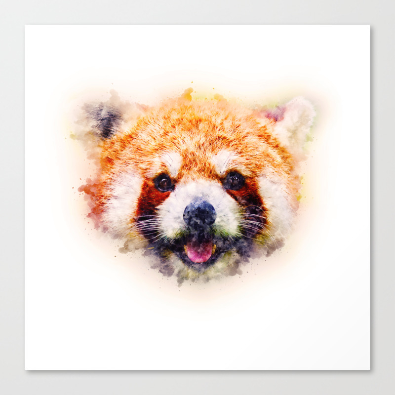 Red Panda Watercolor Painting Art Canvas Print By Shovalperez