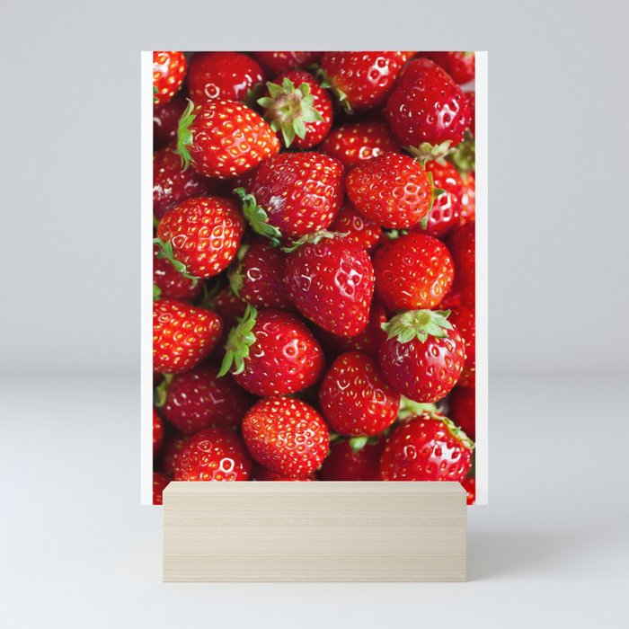 Strawberry Selection Colour Photo  Mini Art Print