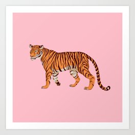 Tiger - Pink Art Print