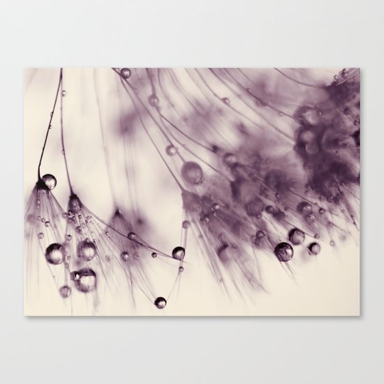 dandelion Canvas Print