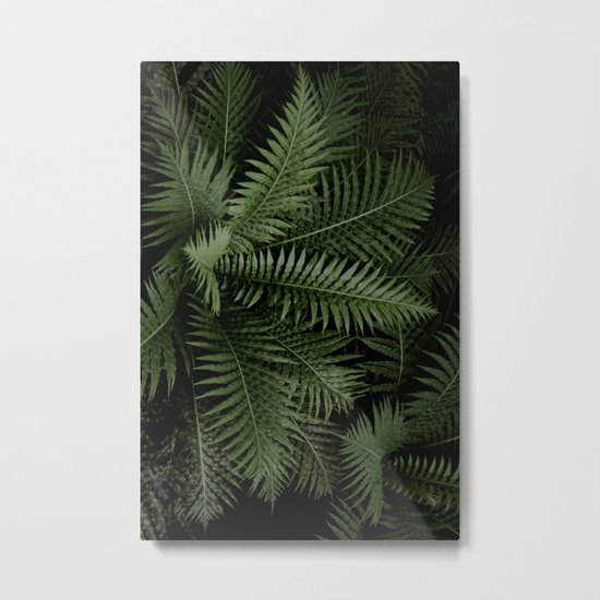 Tropical leaves 02 Metal Print