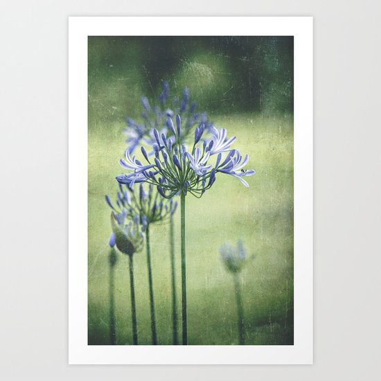Summer in Bloom Art Print