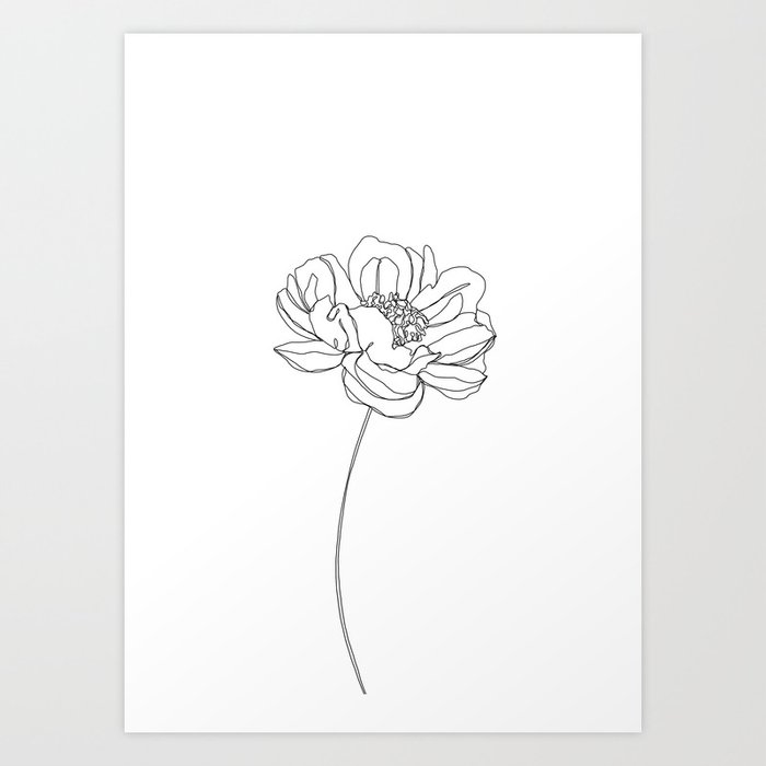photo Single Flower Drawing Black And White single flower line drawing hazel art print by the colour study