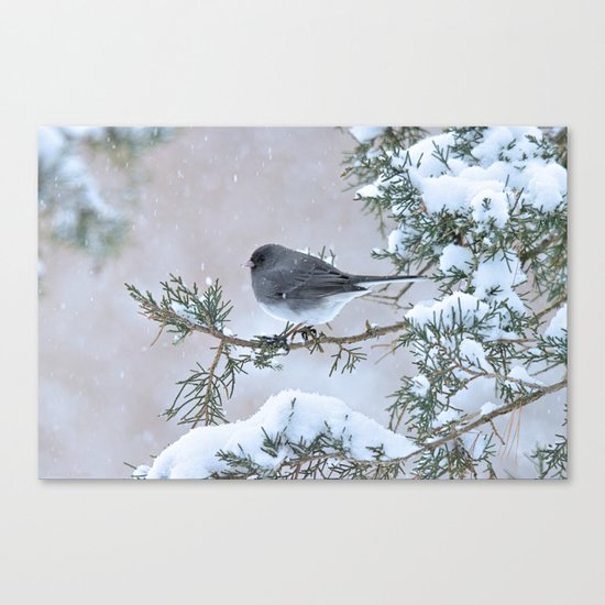 Snow Day Junco Canvas Print