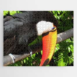 Brazil Photography - Wonderful Toco Toucan Looking Down From A Branch Jigsaw Puzzle
