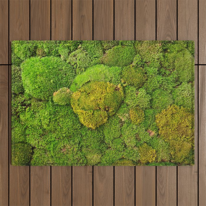Green moss carpet No2 Outdoor Rug