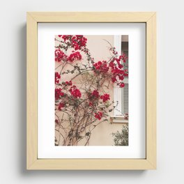 Red flowers on beige wall in Athenes Greece - Photography art print Recessed Framed Print