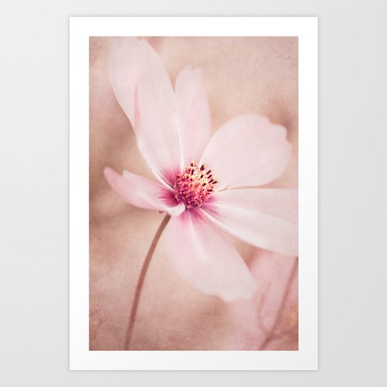 POWDERY SOFT Art Print