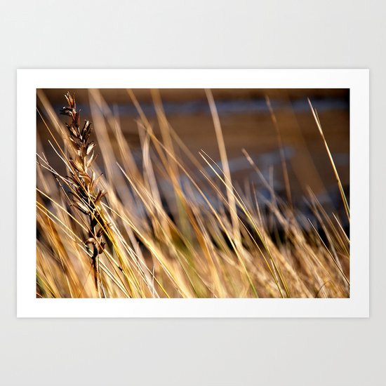 Into the dunes Art Print