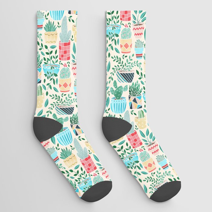 Fun Cacti in Pots Socks