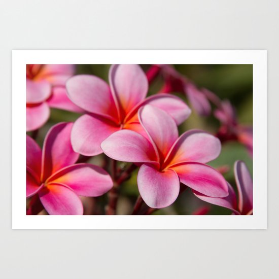 Divine Joy Art Print