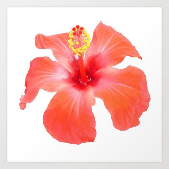 Red Hibiscus Vector Isolated Art Print
