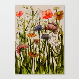 Wild Flowers of October Canvas Print