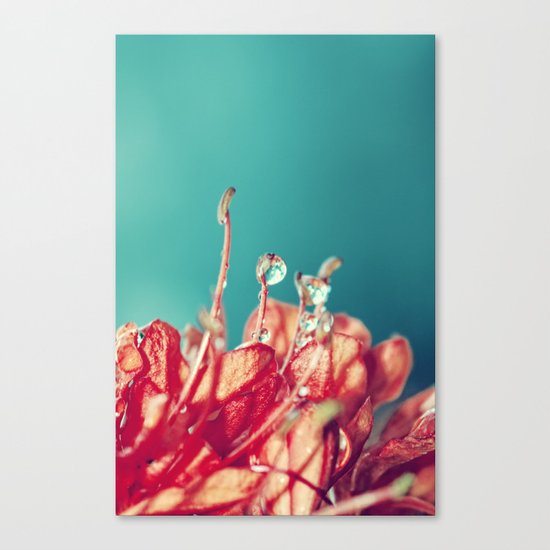 Holding On Canvas Print