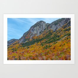 New England Mountain Foliage #2 Art Print